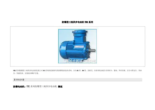 防爆型三相异步电动机YB2系列