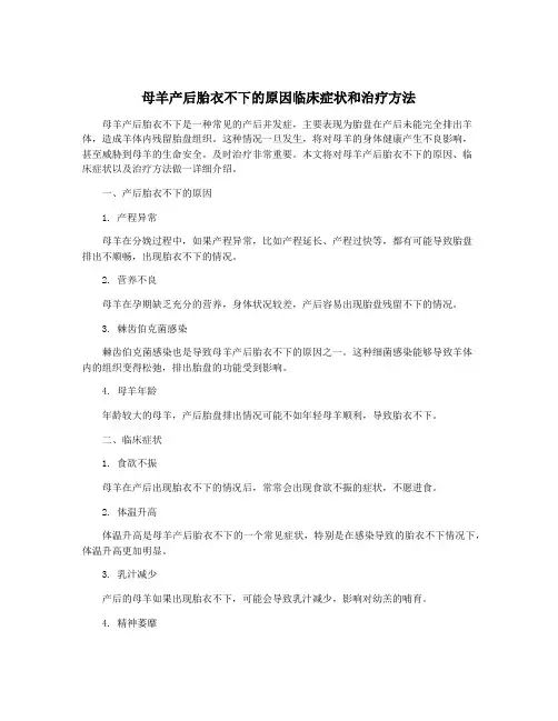 母羊产后胎衣不下的原因临床症状和治疗方法