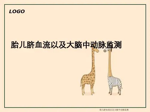 胎儿脐血流以及大脑中动脉监测
