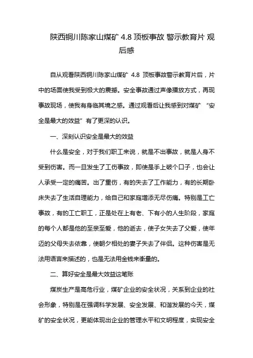陕西铜川陈家山煤矿4.8顶板事故 警示教育片 观后感