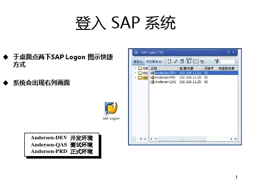 SAP登录与基本操作