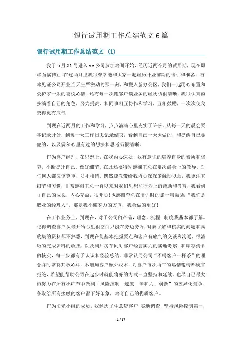 银行试用期工作总结范文6篇