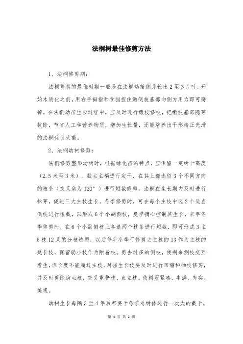 法桐树最佳修剪方法
