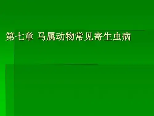 马属动物常见寄生虫病-PPT课件