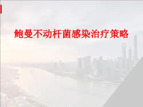 鲍曼不动杆菌感染治疗策略  ppt课件