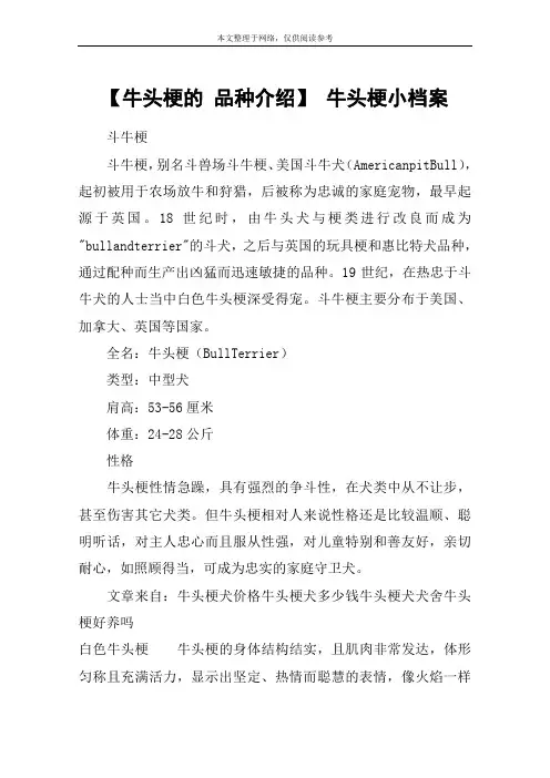 【牛头梗的 品种介绍】 牛头梗小档案