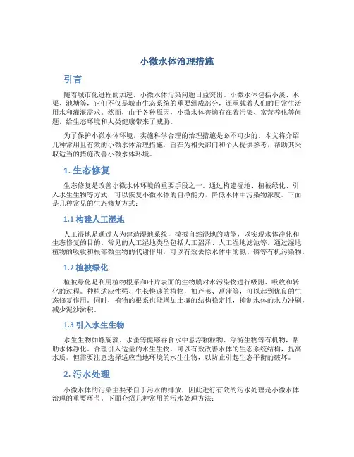 小微水体治理措施