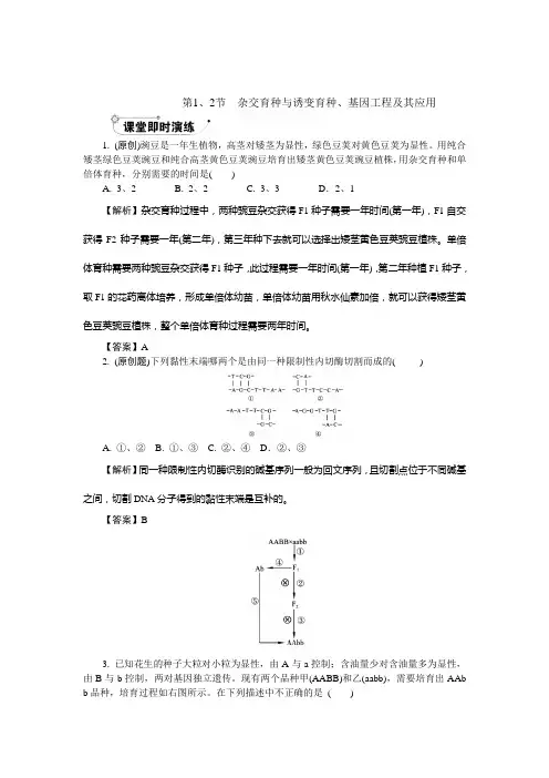 从杂交育种到基因工程(课堂演练)
