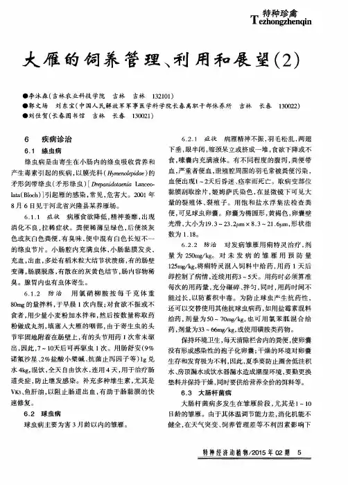 大雁的饲养管理、利用和展望(2)