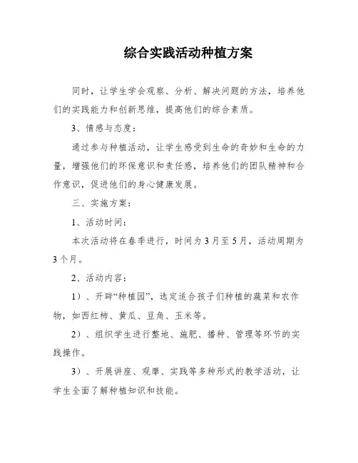 综合实践活动种植方案
