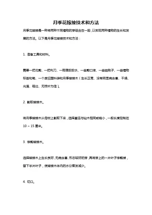 月季花嫁接技术和方法