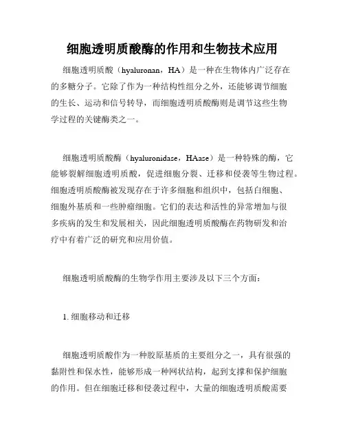细胞透明质酸酶的作用和生物技术应用