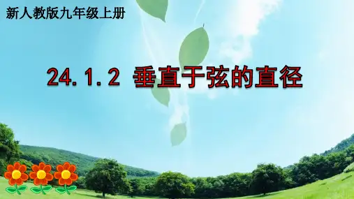垂直于弦的直径 初中九年级数学教学课件PPT 人教版