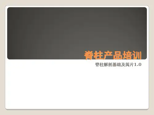 脊柱解剖基础与阅片精品PPT课件