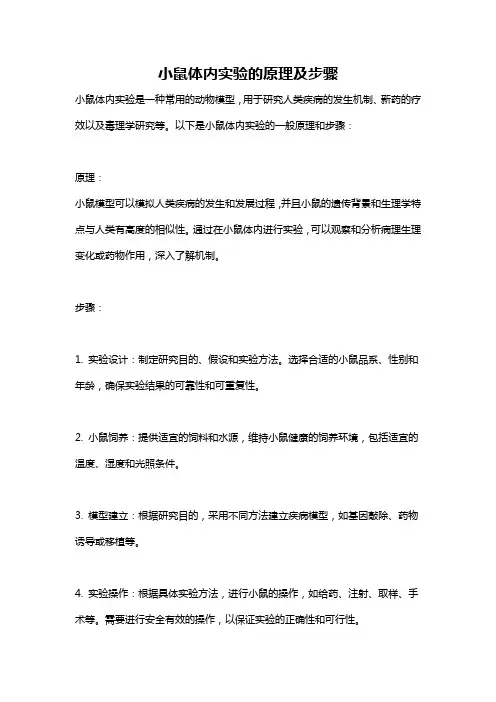 小鼠体内实验的原理及步骤