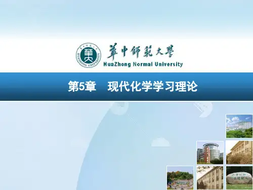 第五章 现代化学学习理论