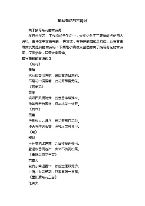 关于描写菊花的古诗词