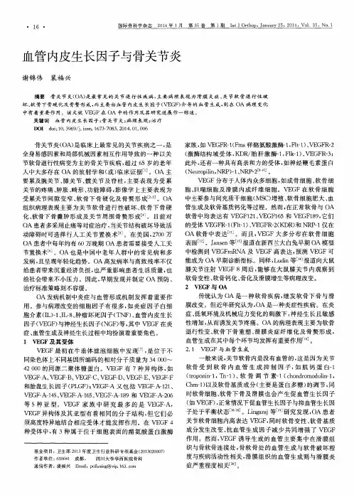 血管内皮生长因子与骨关节炎