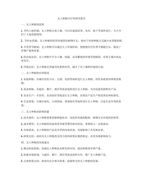 无土种植可行性研究报告