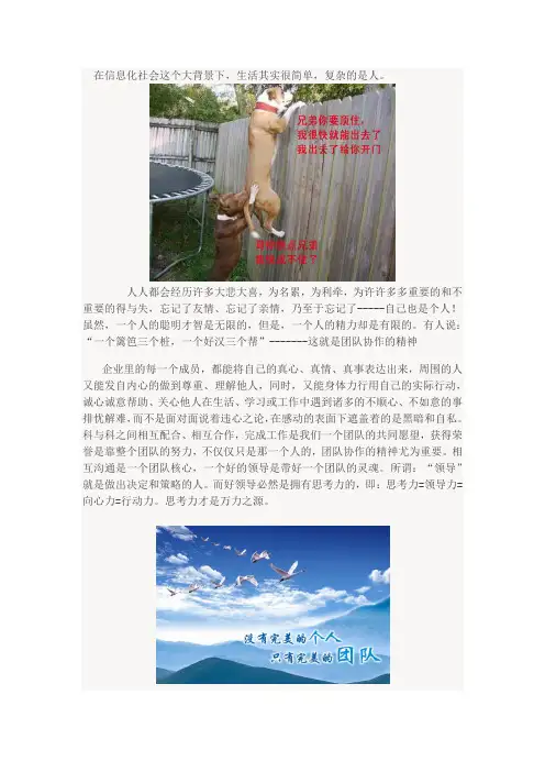 团队精神的核心与灵魂