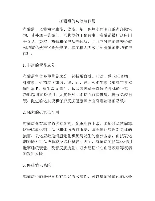 海葡萄的功效与作用