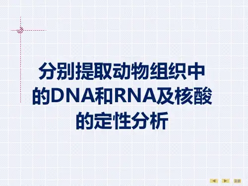 分别提取动物组织中的DNA和RNA及核酸的定性分析-经典PPT课件
