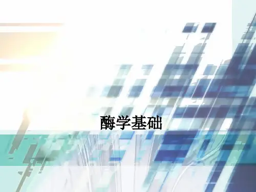 第二章 酶学基础考试