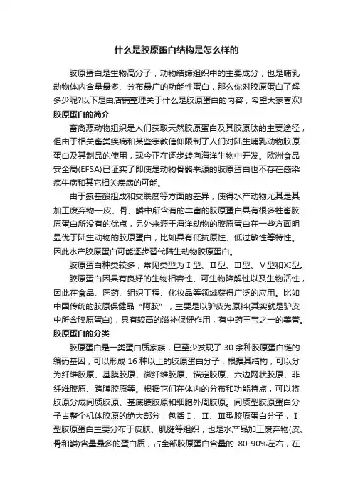 什么是胶原蛋白结构是怎么样的