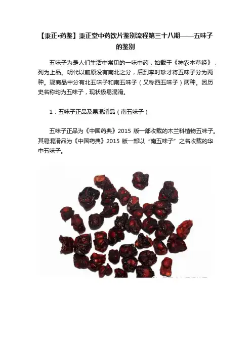 【秉正·药鉴】秉正堂中药饮片鉴别流程第三十八期——五味子的鉴别