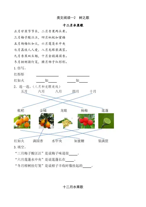 小学二年级语文上册类文阅读理解训练—2   树之歌