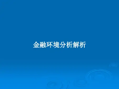 金融环境分析解析PPT教案