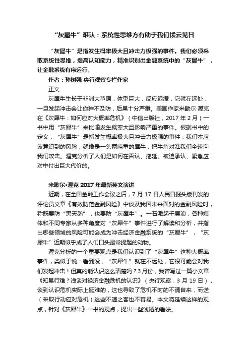 “灰犀牛”难认：系统性思维方有助于我们拨云见日