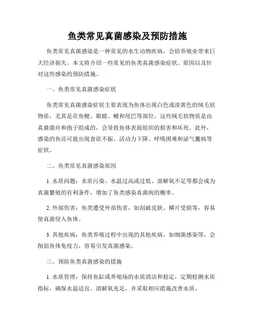 鱼类常见真菌感染及预防措施