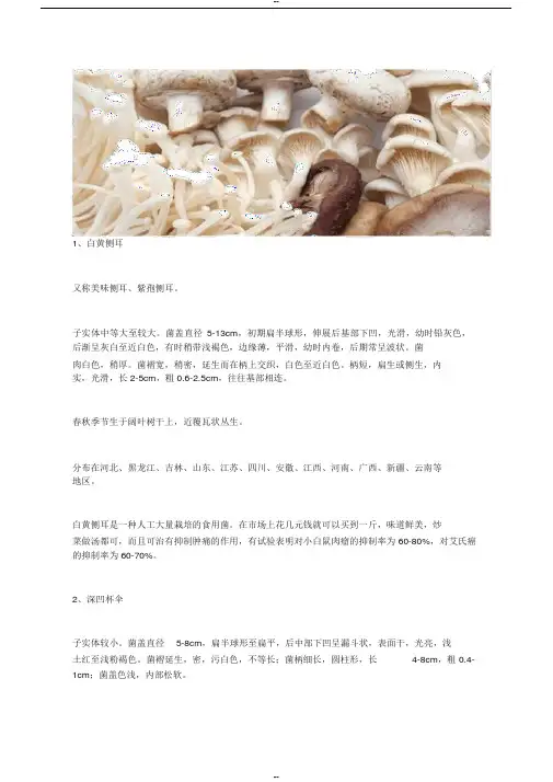 54种食用蘑菇的种类