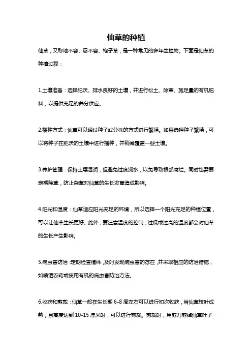 仙草的种植