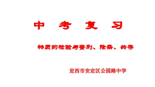 物质的检验与鉴别、除杂、共存(中考复习)(ppt 共21张)