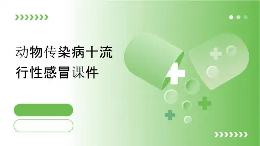 动物传染病十流行性感冒课件