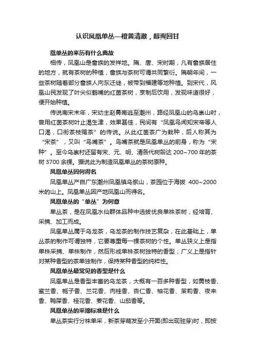 认识凤凰单丛—橙黄清澈，醇爽回甘
