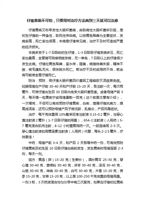 仔猪黄痢不可怕，只要用对治疗方法两到三天就可以治愈