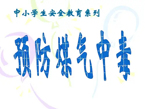 预防煤气中毒教育PPT课件