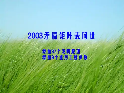 TRIZ矛盾矩阵48参数幻灯片PPT