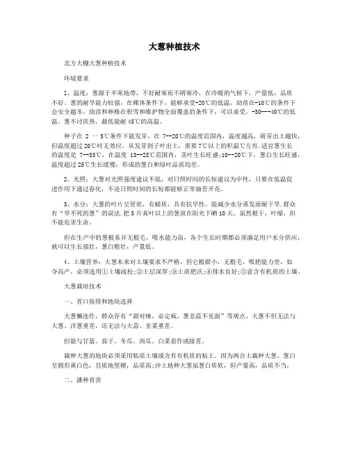 大葱种植技术