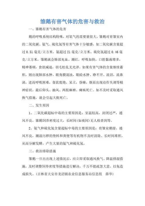 雏鹅有害气体的危害与救治