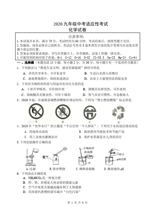 2020九年级中考适应性考试化学试卷及答案