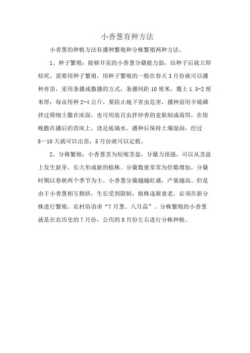小香葱育种方法