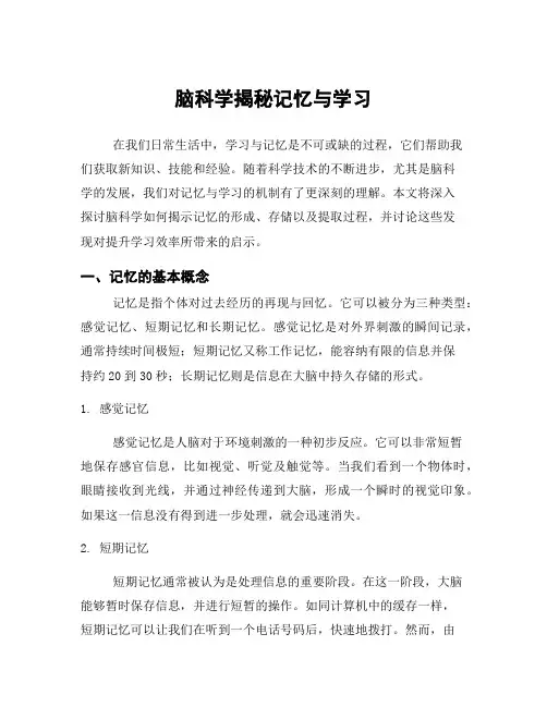 脑科学揭秘记忆与学习