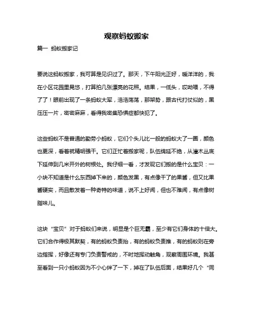 作文《观察蚂蚁搬家》