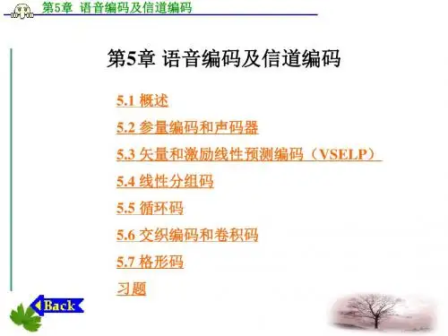 第5章语音编码及信道编码讲述介绍