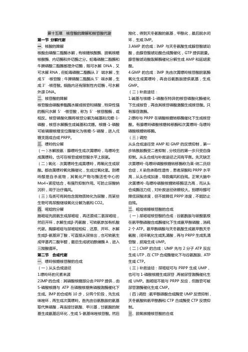生物化学笔记- 核苷酸的降解和核苷酸代谢