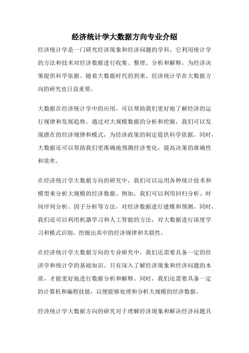 经济统计学大数据方向专业介绍